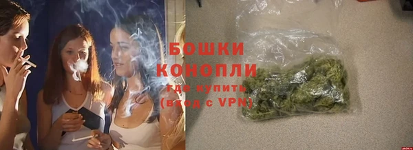 трава Балахна