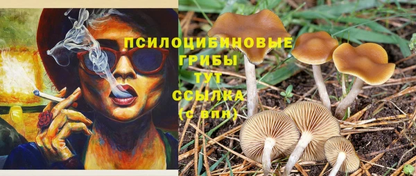 кристаллы Богородск