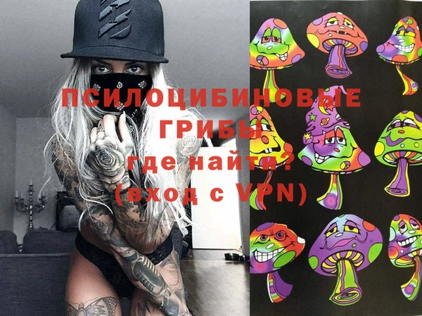 твердый Богданович